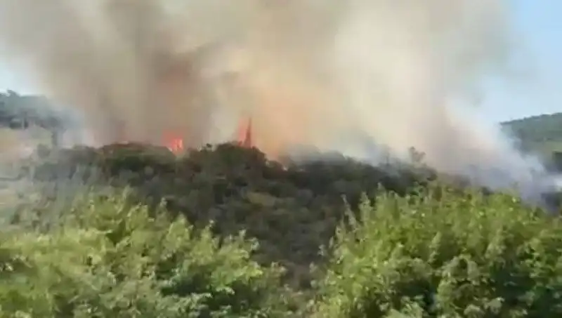İstanbul Orman Yangını: Acil Tahliye Kararı Alındı!